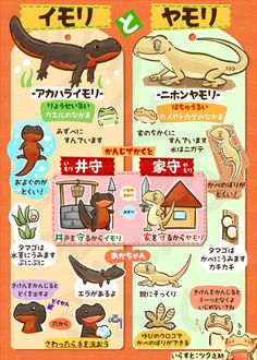 ウケた画像w：コメント4548