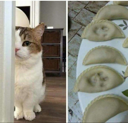 ウケた画像w：コメント4556