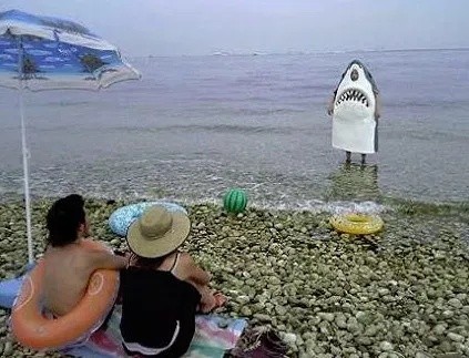 ウケた画像w：コメント4444