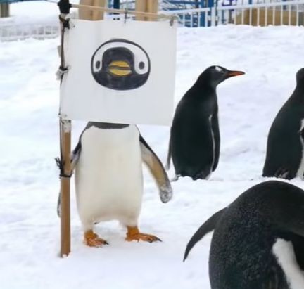 ウケた画像w：コメント4422