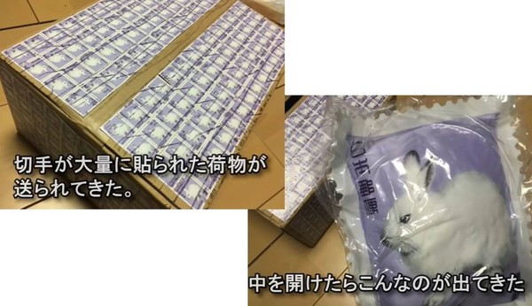 ウケた画像w：コメント4431