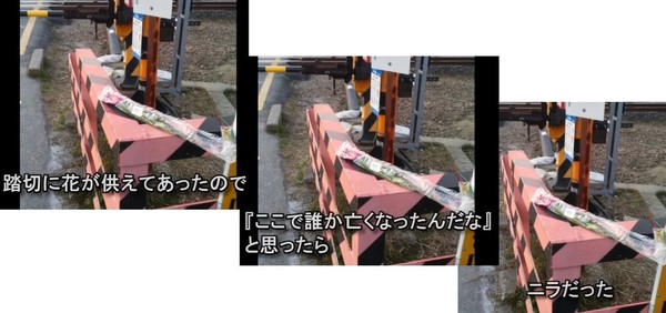 ウケた画像w：コメント4433