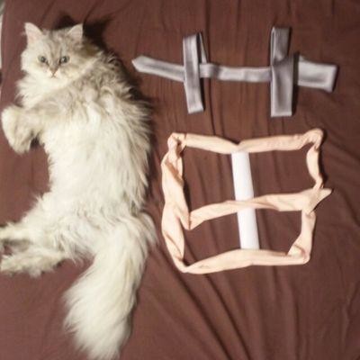 ウケた画像w：コメント4685