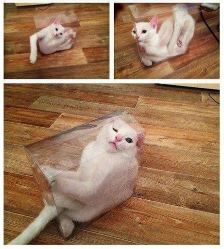 ウケた画像w：コメント4715