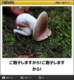 ウケた画像w：コメント4734