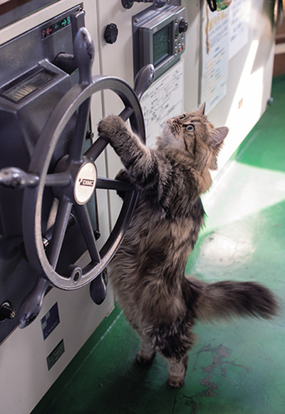 ウケた画像w：コメント4739