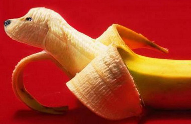 ウケた画像w：コメント4785