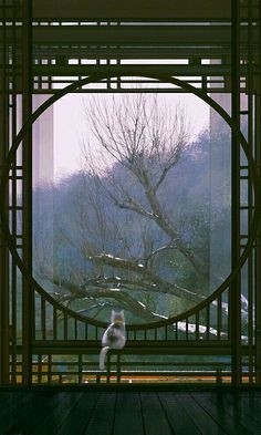 ウケた画像w：コメント4791