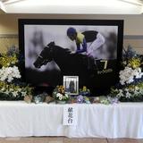 急死のディープインパクトしのび多くのファンが合掌