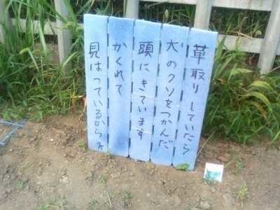 ウケた画像w：コメント4673