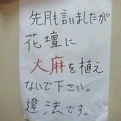 ウケた画像w：コメント4676