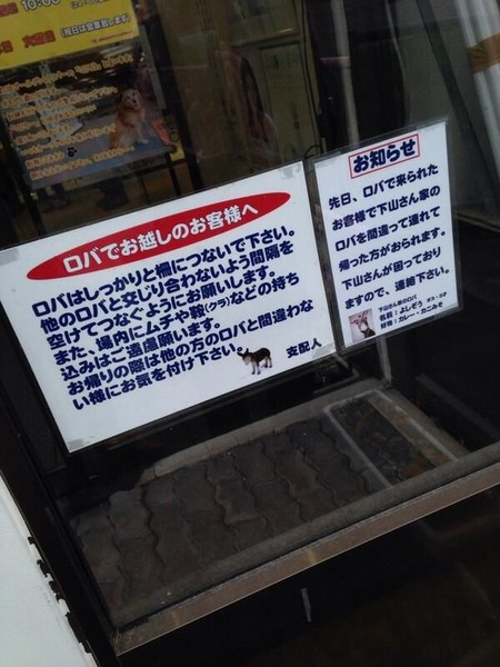 ウケた画像w：コメント4955