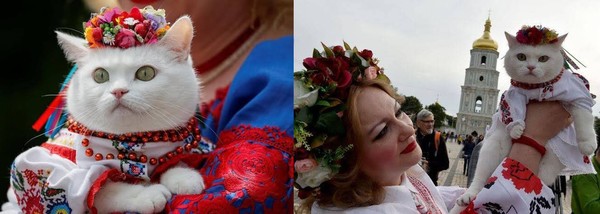 ウケた画像w：コメント4991