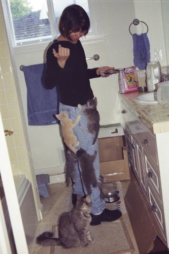 ウケた画像w：コメント5015