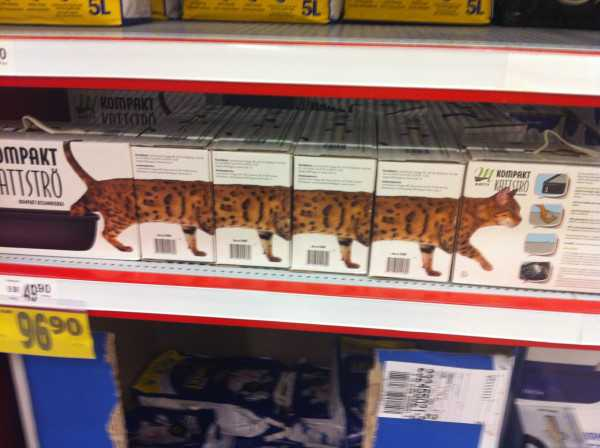 ウケた画像w：コメント5051