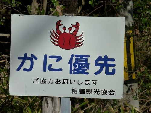 ウケた画像w：コメント5055