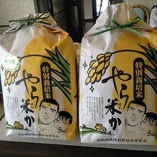 ウケた画像w：コメント4851