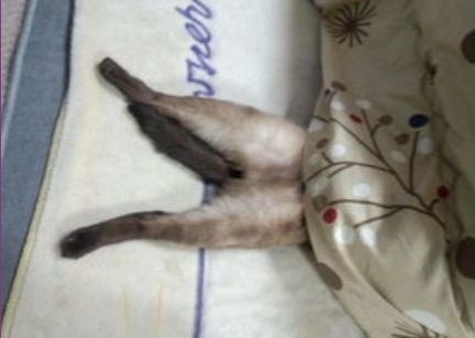 ウケた画像w：コメント5160