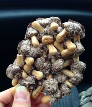 ウケた画像w：コメント5150