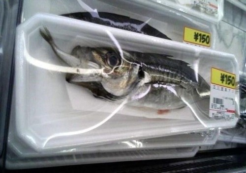 ウケた画像w：コメント5211