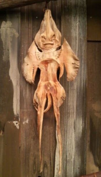 ウケた画像w：コメント5223