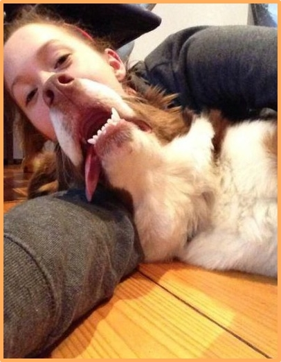 ウケた画像w：コメント5249