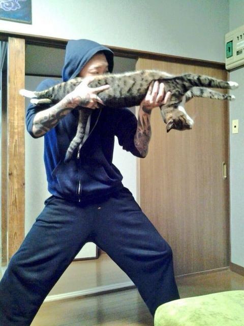 ウケた画像w：コメント5289