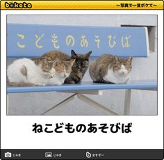 ウケた画像w：コメント4894