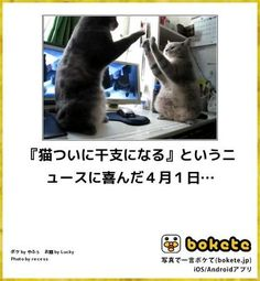 ウケた画像w：コメント4899