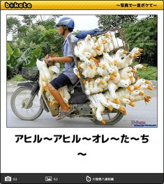 ウケた画像w：コメント4933