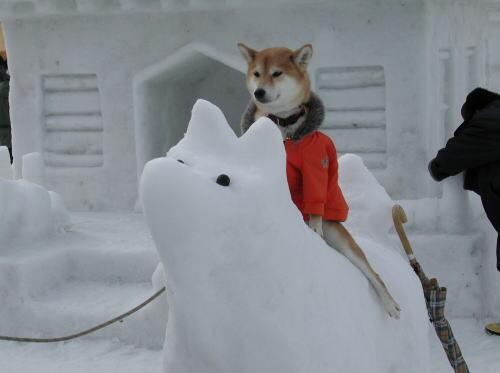 ウケた画像w：コメント6460