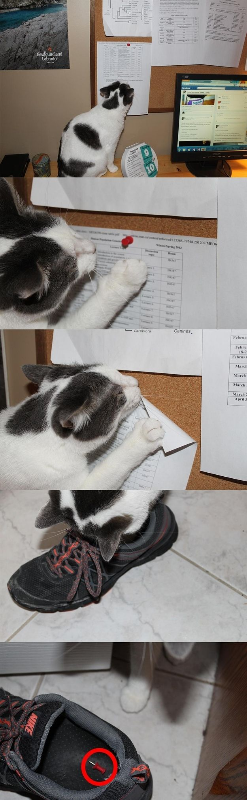 ウケた画像w：コメント6498