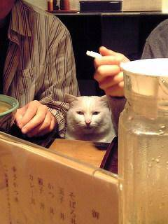 ウケた画像w：コメント6514