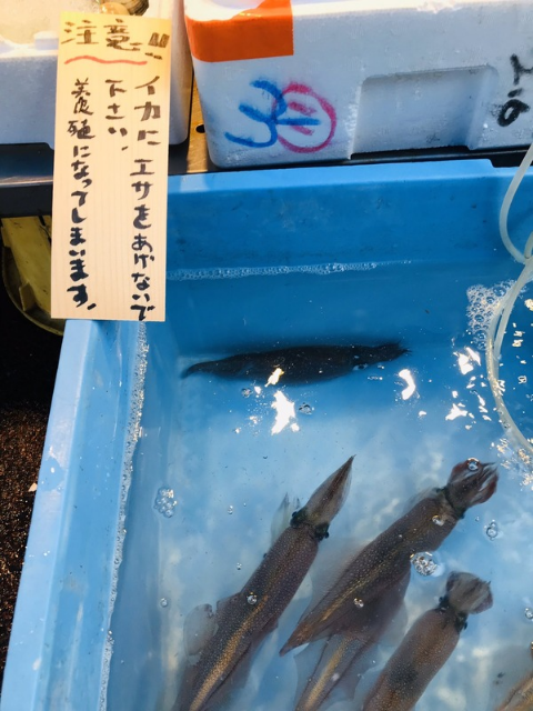 ウケた画像w：コメント6525