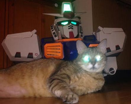 ウケた画像w：コメント6362