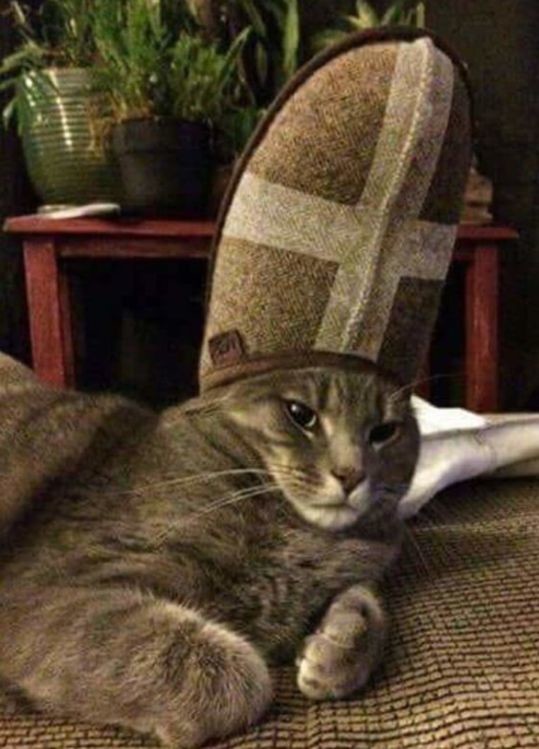 ウケた画像w：コメント6386