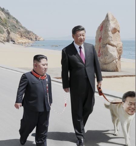 ウケた画像w：コメント6441