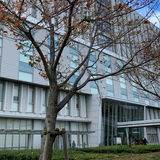 「育て方が悪かったの？なぜこんなことができるの？」座間9人殺害・白石被告、母親の悲痛な叫び