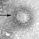 新型肺炎死者、SARS超え　中国で803人　封じ込め難航