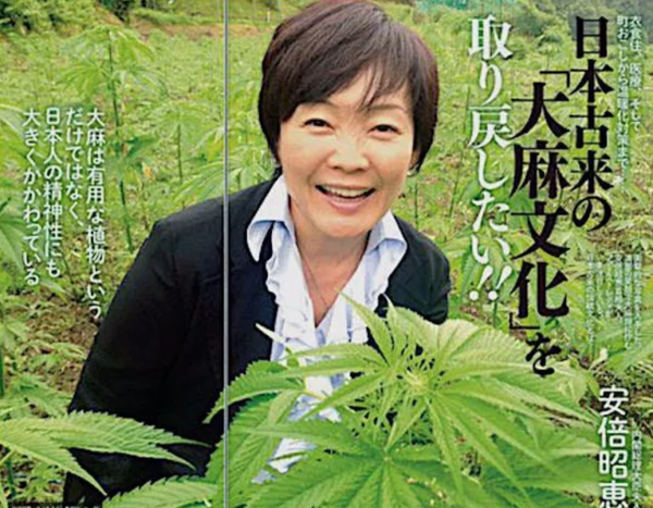 安倍首相が「やめて」と懇願！自粛要請の陰で昭恵夫人が旅行計画：コメント81