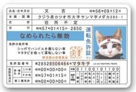 ã³ã­ãã§ãã¤ã«ã¼åè©ä¾¡ãåè¨±ãæããªãè¥èãã¡ã®å¾æã¨ç¦ãï¼ã³ã¡ã³ã128