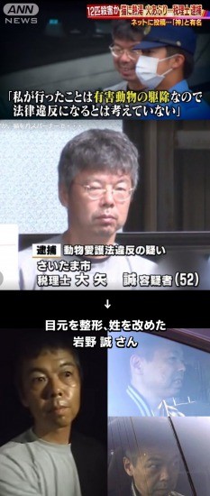 可愛い猫が集まってくるスレ(=ﾟωﾟ)ﾉ：コメント68