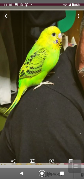 「“デートは絶対に割り勘”男」急増中!? 女性に奢らない5つの理由：コメント6587