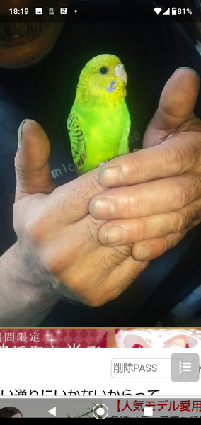 「“デートは絶対に割り勘”男」急増中!? 女性に奢らない5つの理由：コメント6714