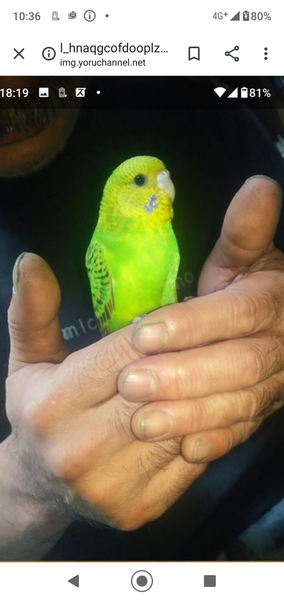 é¢¨ä¿ãå£²æ¥ãããå¥³ã®å­ã®ç¹å¾´ï¼ã³ã¡ã³ã2074