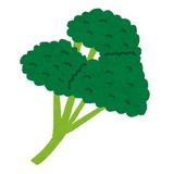 スペイン男性「大麻だと思って4年間吸っていたものがパセリだった、金返せ！」売人を訴える