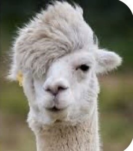 イケメンに癒される：コメント18