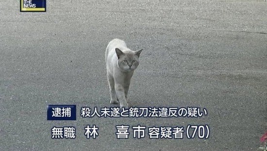 イケメンに癒される：コメント23