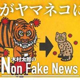 「どう猛な虎からヤマネコに変わった」新型コロナウイルスはワクチンを待たずに消滅か