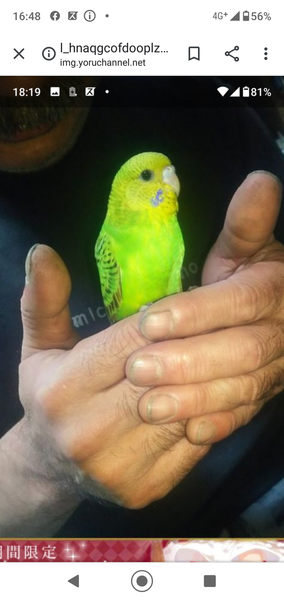 夫「働いてないんだからゴミ捨てぐらいしろ」　夫の見下した発言が泥沼バトルに発展：コメント934